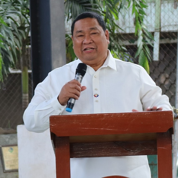 Sampulna cites need for more mineral processing plants to boost PH production