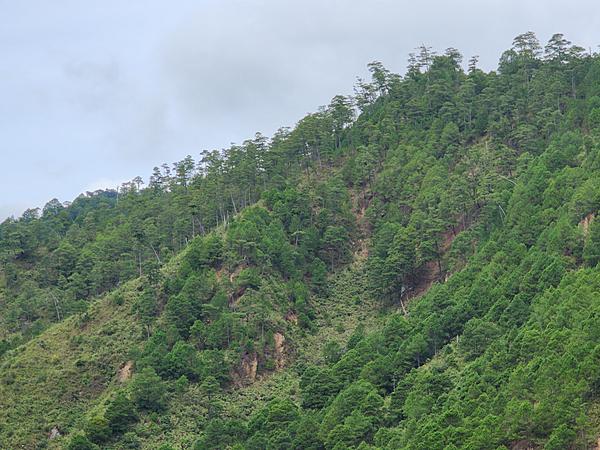 MCB Commences Drilling Program