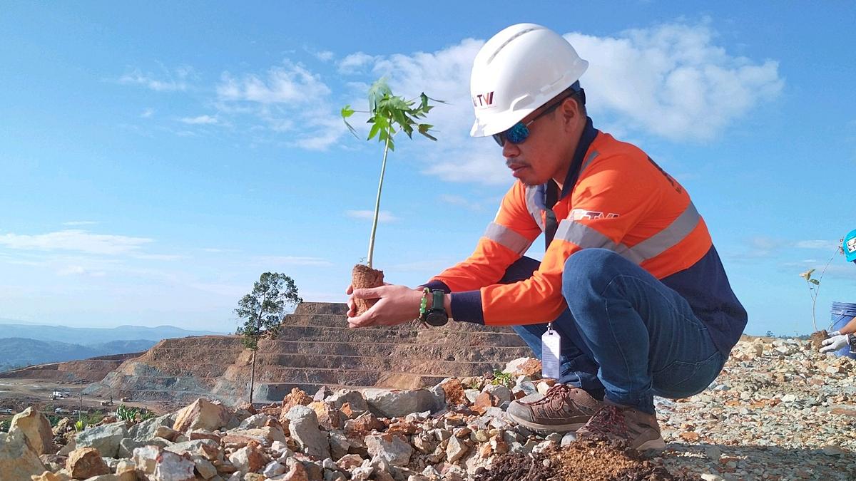 TVIRD's Novel Reforestation Follows Nature's Rhythm Through Progressive  Rehab