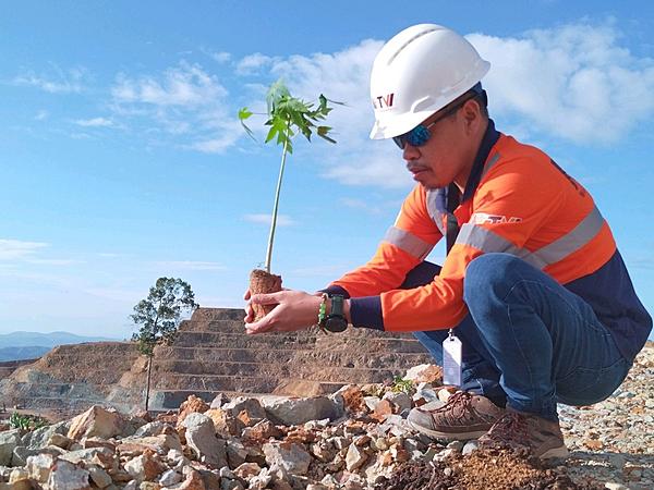 TVIRD's Novel Reforestation Follows Nature's Rhythm Through Progressive  Rehab