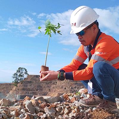 TVIRD's Novel Reforestation Follows Nature's Rhythm Through Progressive  Rehab