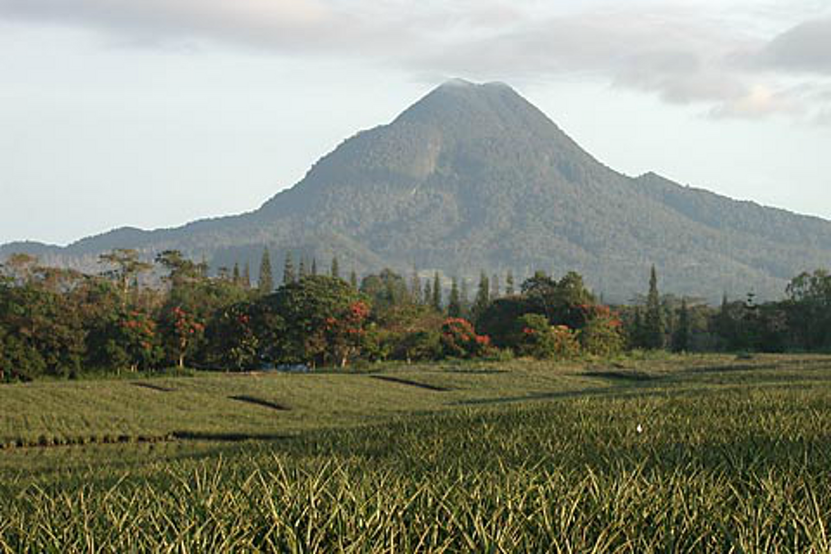 Is the East Mindanao Volcanic Arc Lost, Buried or Eroded?