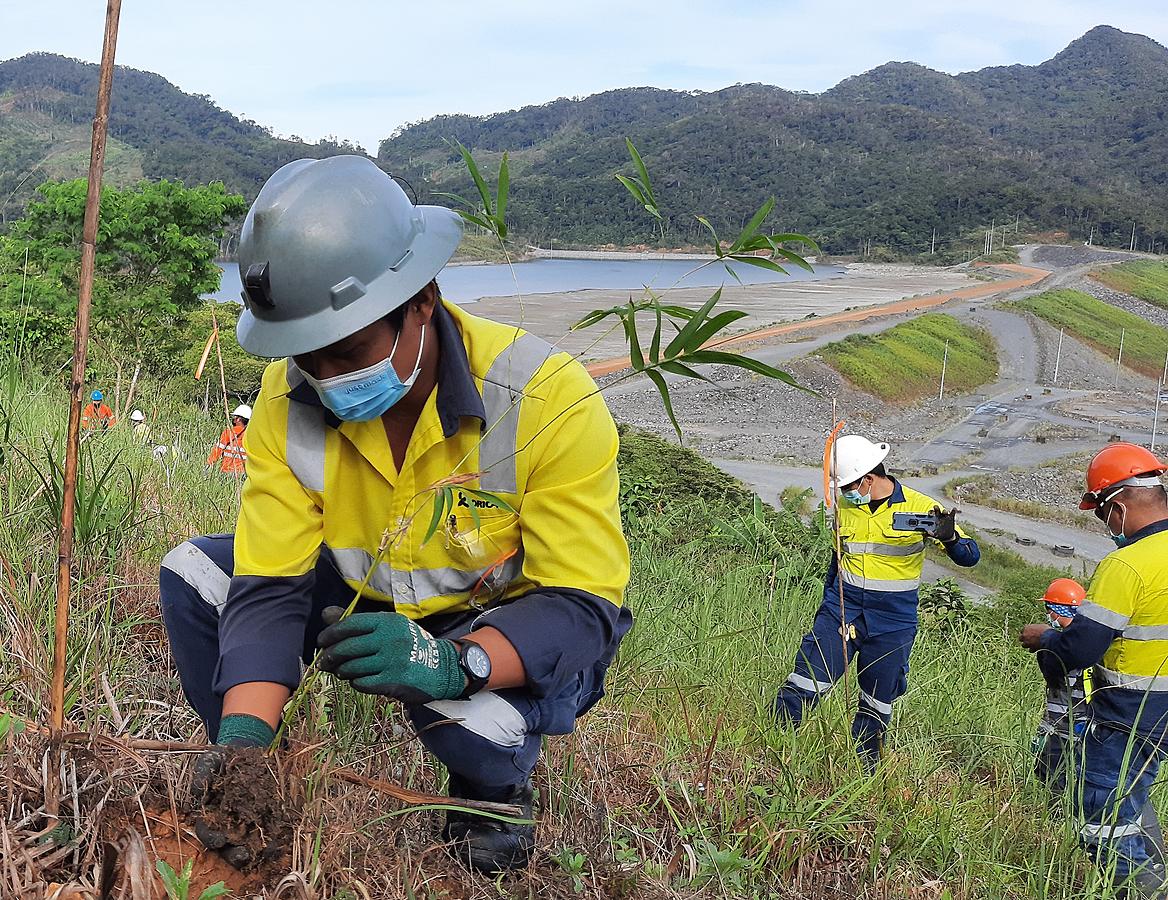 Bamboo industry roadmap cross mining sites